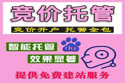 案例解读：托管竞价SEM助力企业转型